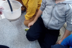 IMG_20251016_091819_100