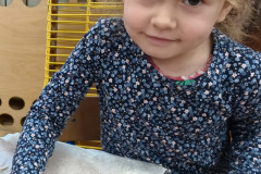 IMG_20241210_104830294_BURST001_COMP
