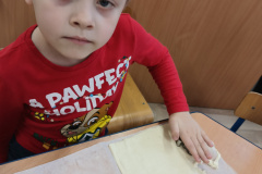 IMG_20241210_104836773