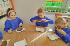 IMG_20250415_103349