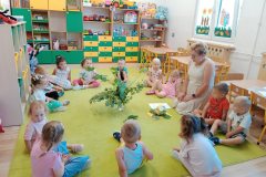 IMG_20250905_091924_Burst01