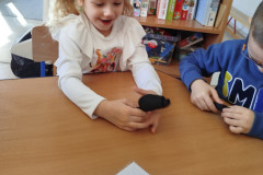 IMG_20250319_103243