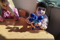 IMG_20250319_104126