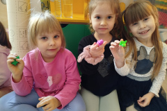 IMG_20250319_110138