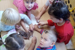 IMG_20251010_105323_862