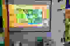 46