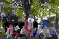 54