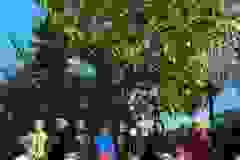 55