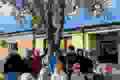 56