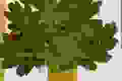 64