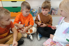IMG_20241031_112721432