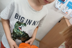 IMG_20241031_113213556
