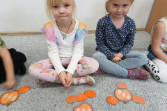 IMG_20241031_114044974