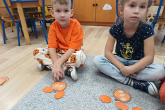 IMG_20241031_114147735