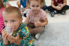 IMG_20240927_100741112