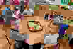 53