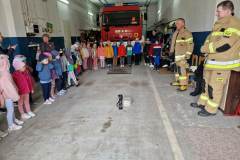 344784628_804987147851818_2380735690819218369_n