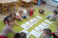 IMG_20260115_102049_457