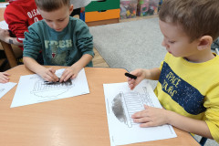 IMG_20241204_110846368