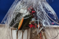 IMG_20241219_140644674_HDR