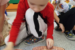 IMG_20250217_130512