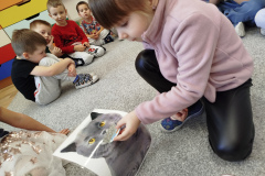 IMG_20250217_132204