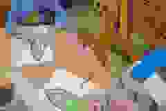 33