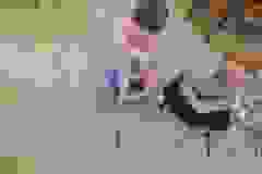43