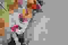 44
