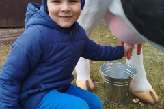26
