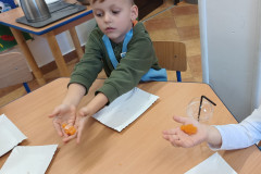 IMG_20241016_113947207_BURST000_COVER