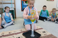 IMG_20241016_115719821