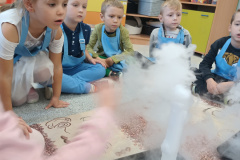 IMG_20241016_115750123_BURST000_COVER