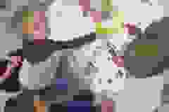 44