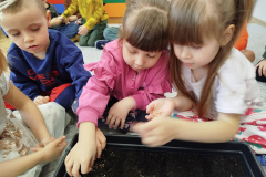 IMG_20250324_104023