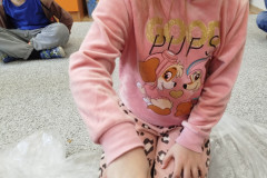 IMG_20250324_105221