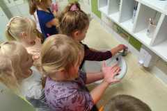 5284ddf0-2c5d-45f1-ac43-c83edb2181c3