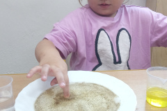 IMG_20251015_115133_567