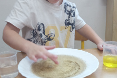 IMG_20251015_115448_764