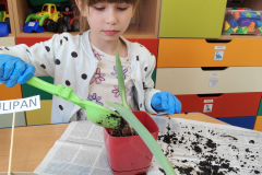 IMG_20260326_105109