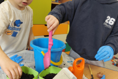 IMG_20260326_110346