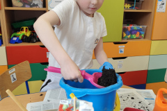 IMG_20260326_110855