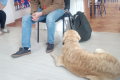 IMG_20251030_094145_542