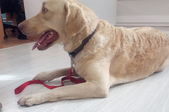 IMG_20251030_094229_708