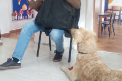 IMG_20251030_095208_786