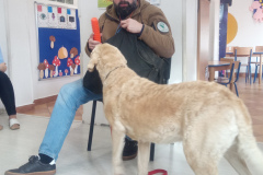 IMG_20251030_095211_411