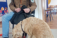 IMG_20251030_095245_516