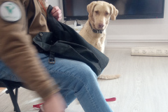 IMG_20251030_095322_203