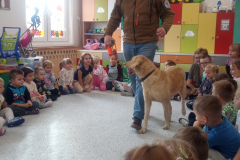 IMG_20251030_095406_126