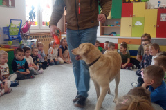 IMG_20251030_095407_276